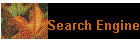 Search Engine