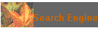 Search Engine